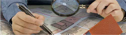 Understanding Surveys